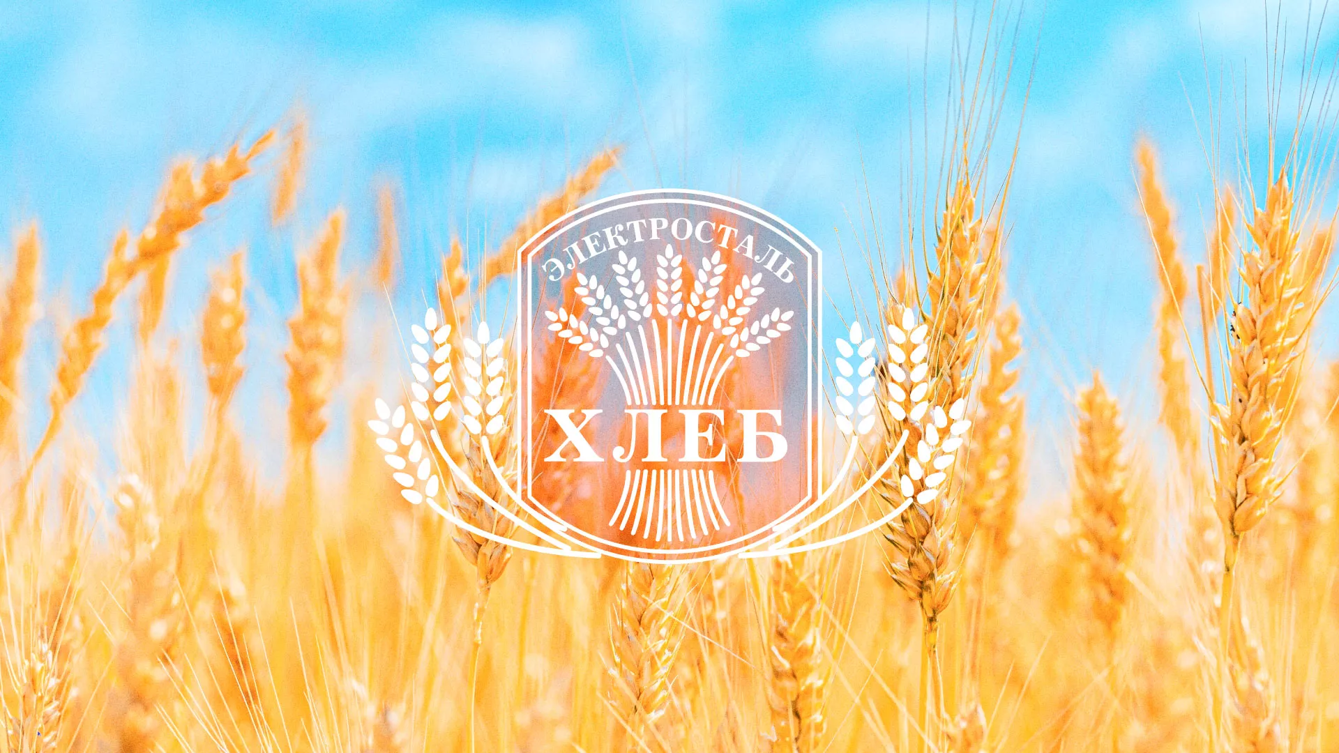 Создание сайта для хлебзавода в Ликино-Дулево