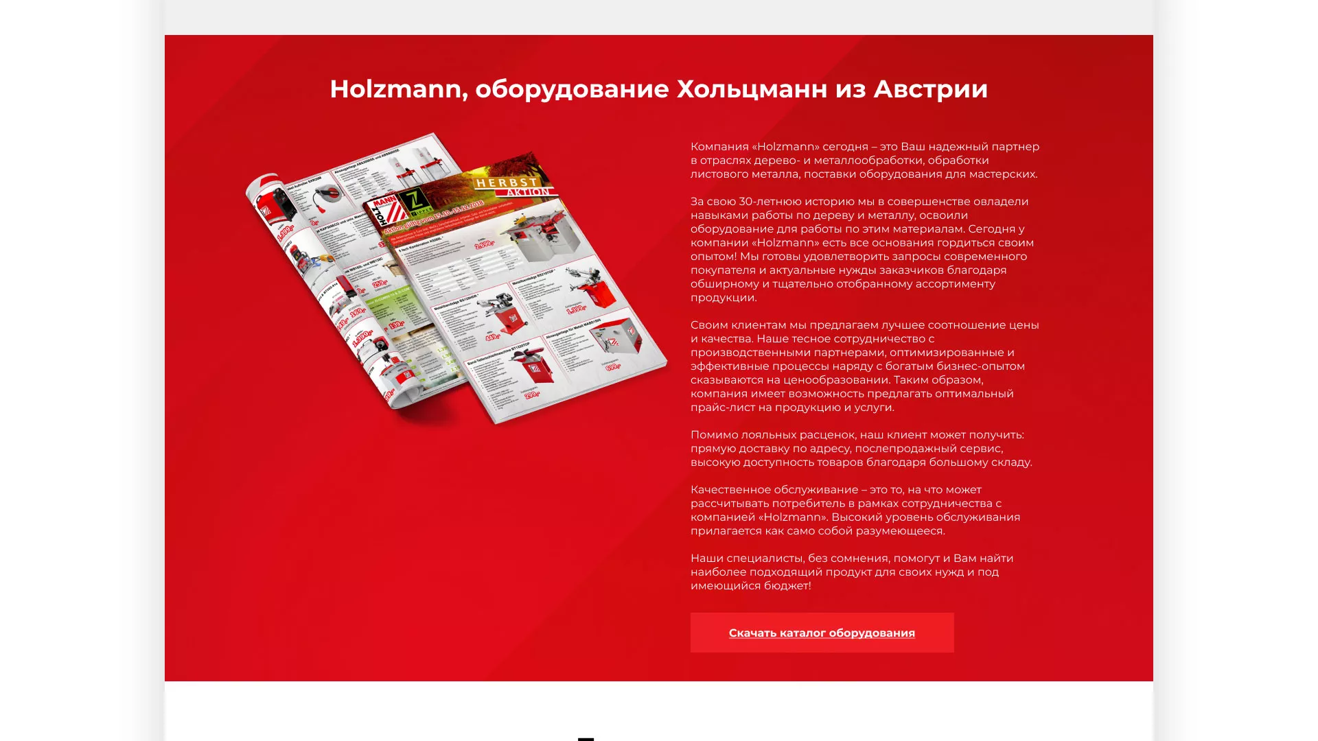 Создание сайта компании «HOLZMANN Maschinen GmbH» в Ликино-Дулево