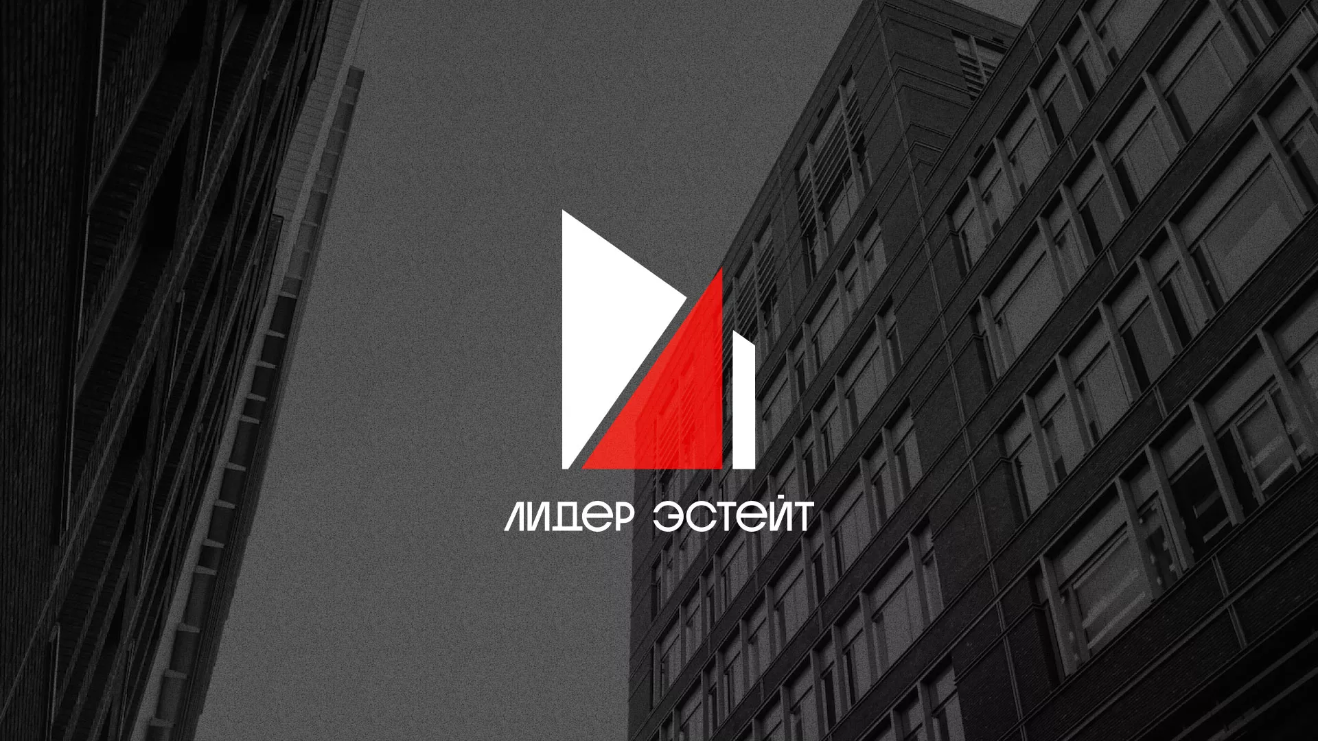 Сделали логотип для агентства недвижимости «Лидер Эстейт» в Ликино-Дулево
